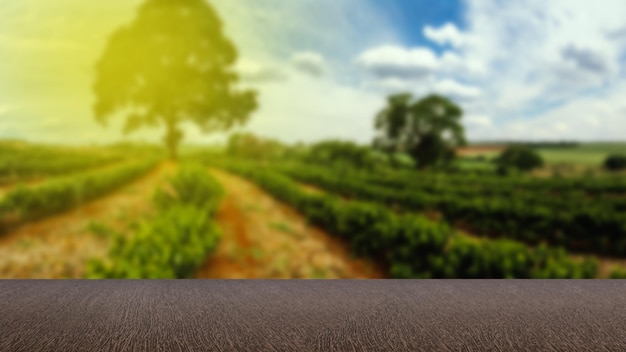 Leerer Holztisch mit Blick auf die Kaffeeplantage oder Holzschreibtisch mit Bauernhof-Bokeh-Hintergrund Platz für Text