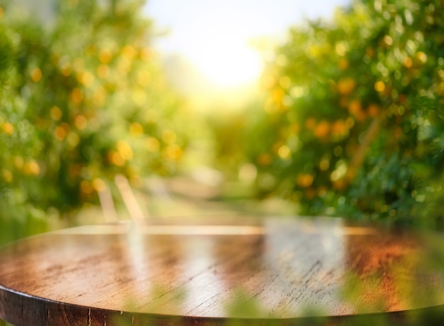 Leerer Holztisch mit freiem Platz über Orangenbäumen, orangefarbener Feldhintergrund. Für Produktdisplay-Montage