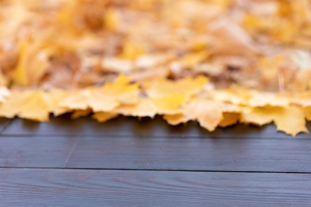 Leerer Holztischnatur-Bokeh-Hintergrund mit gelbem Ahornblatt des Herbstes