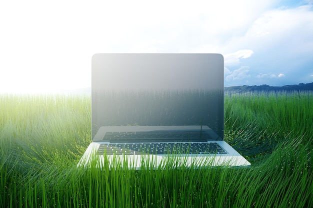 Leerer Laptop auf Gras