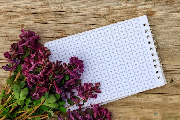 Leerer Notizblock mit violetten Corydalisblumen auf rustikalem Holzhintergrund