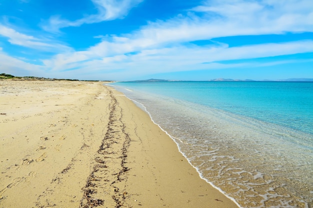 Leerer Strand in Fiume Santo Sardinien