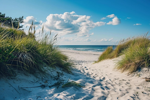 Leerer Strand mit kleinen Dünen