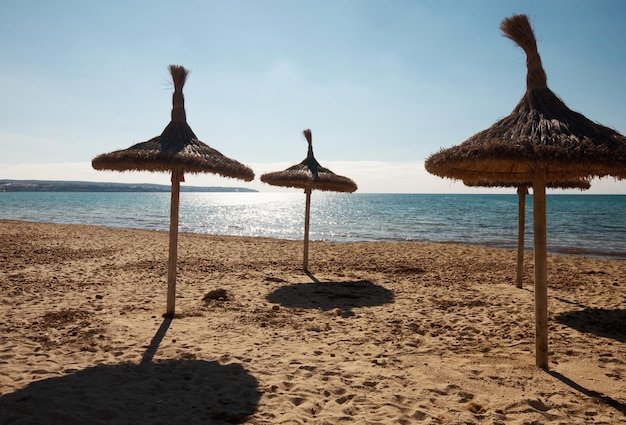 Leerer Strand mit strohgedeckten Sonnenschirmen, Mallorca, Balearen, Spanien