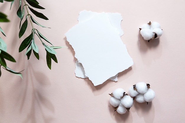 leeres Blatt Papier lange Schatten eines Olivenzweigs und Baumwollblumen auf einem Rosa