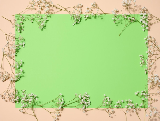 Leeres grünes Blatt Papier und Schleierkrautblumen bieten Platz für eine Inschrift