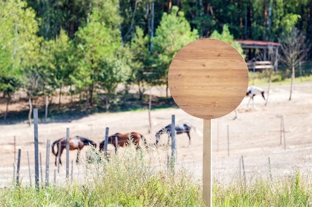 Leeres Holzschild auf der Pferdefarm