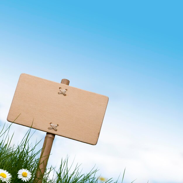 Foto leeres holzschild und grünes gras mit gänseblümchen, blauem himmel und platz für text oben