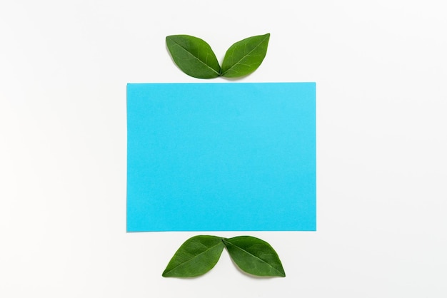 Foto leeres kartonblatt mit frischen blättern für kreatives banner, leeres farbpapier und botanik für layout für geschäftswerbung und markenförderung