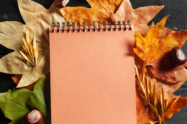 Leeres Notizbuch umgeben durch Herbstlaub