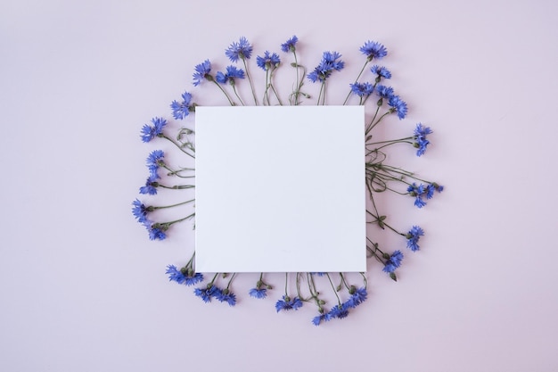 Leeres Papierblatt mit Mockup-Vorlage im Rahmen aus blauen Kornblumen auf rosa Hintergrund Kopierbereich