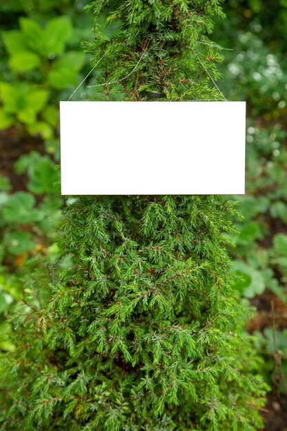 Foto leeres schild für werbung auf einem baum