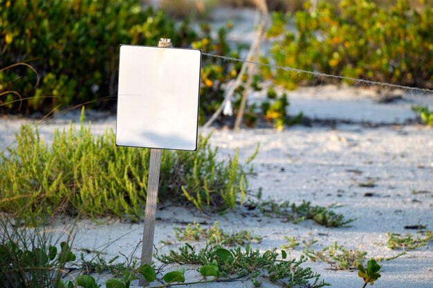 Leeres Schild mit Kopierplatz am Strand mit kleinen Sanddünen und grasbewachsener Vegetation an warmen Sommerabenden