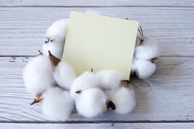 Leeres Stück Haftnotiz auf dem Tisch mit leerem Blatt Papier der Baumwollpflanze daneben