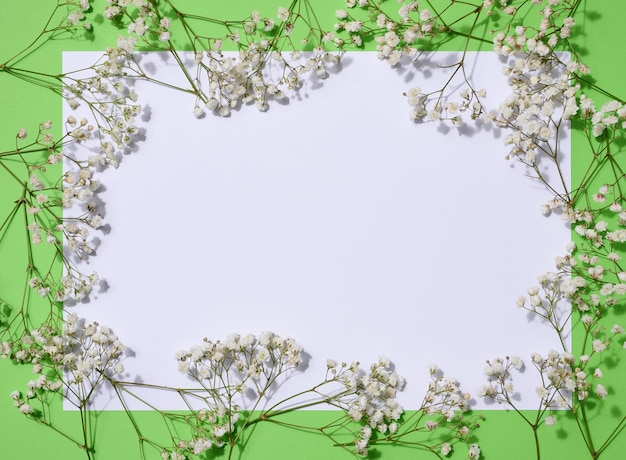 Leeres weißes Blatt Papier und Gypsophilia-Blumen auf grünem Hintergrund, Platz für eine Inschrift