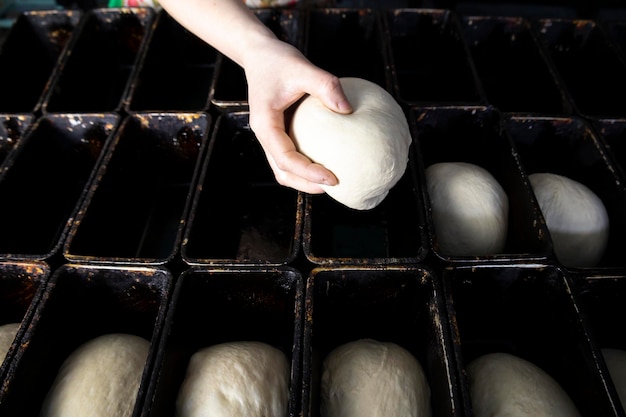 Legen Sie den Teig in die Formen für zukünftiges Brot