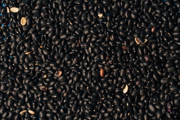 legumbres de frijol negro