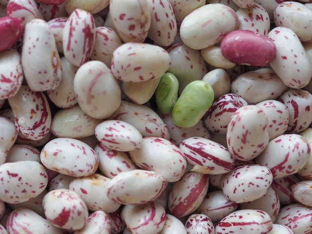 Legumes com feijão carmesim