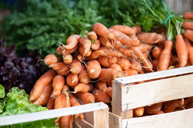 Legumes de carotagem provados e frescos em um mercado