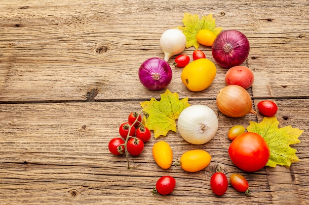 Legumes de colheita de outono. Variedade de diferentes tipos de cebola e tomate