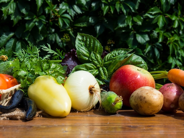 Legumes em uma mesa de madeira. Alimentos bio saudáveis, ervas e vegetais de plantações agrícolas.