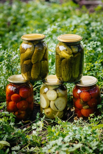 Legumes enlatados em latas estão no meio do jardim. colher e preparar suprimentos para o inverno.