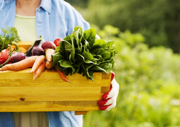 Legumes frescos da natureza