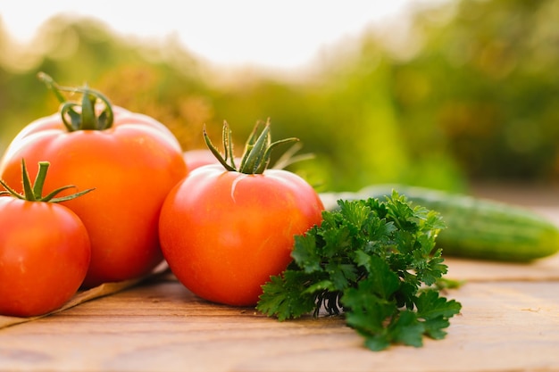 Legumes frescos em um fundo de madeira Pepinos tomate alho endro Luz solar contornada Fazenda orgânica Legumes orgânicos Colheita de verão