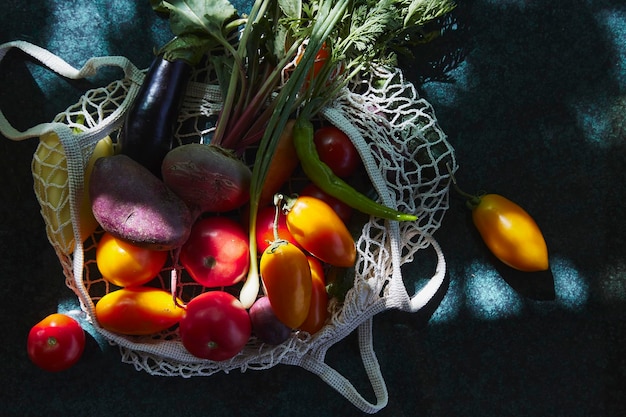 Legumes frescos tomates amarelos berinjela cebola beterraba em sacola ecológica sob sombras duras na moda com fundo de reflexão Preocupação ecológica Vista superior comida