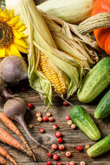 Legumes, frutas e girassóis