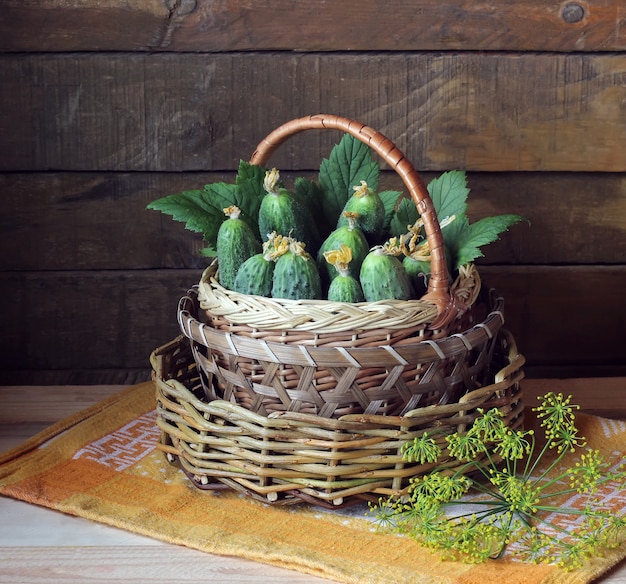 Legumes na cesta: pepinos, endro e folhas de groselha.