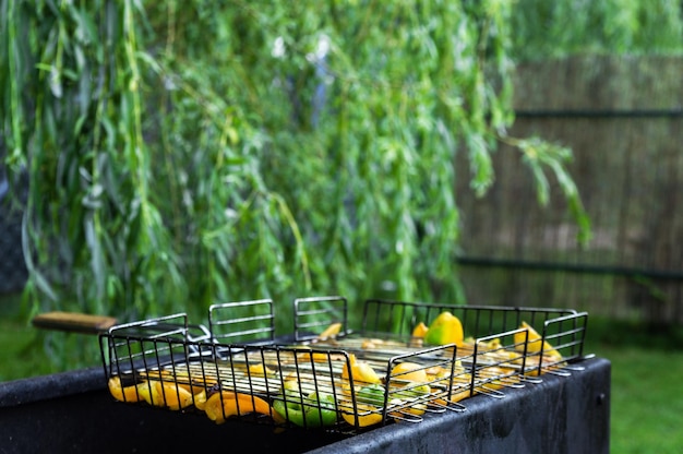 Legumes na churrasqueira espaço de cópia Pimentas e berinjelas em uma grelha de ferro Foto horizontal