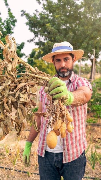 Legumes orgânicos Batatas frescas nas mãos do agricultor masculino Homem alegre