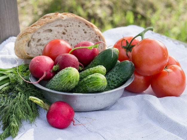 Legumes para um piquenique, tomates, pepinos, rabanete