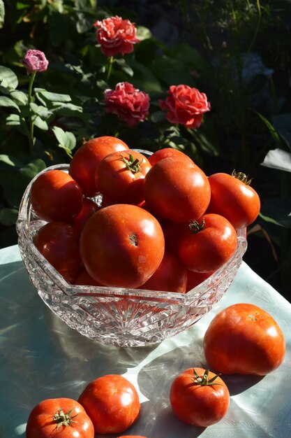 Legumes vermelhos de tomate