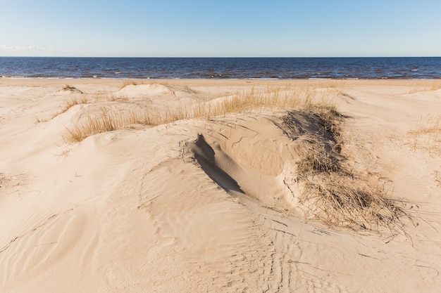 Leichter Sand an der Küste.