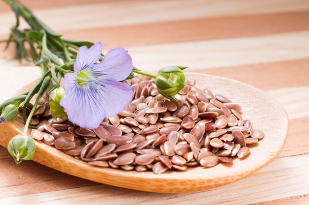 Leinsamenkörner auf dem Tisch Linum usitatissimum