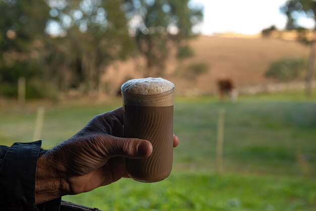 Leite de camargo tirado direto da vaca servido em uma xícara de café quente Bebida tradicional gaúcha