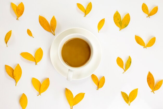 Foto leite liso de uma xícara de café com padrão de folha de outono no fundo branco. vista do topo.
