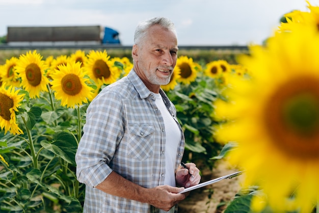 Leitender Agronom auf einem Feld mit Sonnenblumen