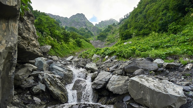 Leito de pedra do rio, verão em sochi, rússia