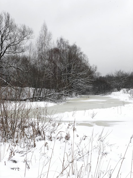 Leito de rio congelado com paisagem de inverno de superfície coberta de neve