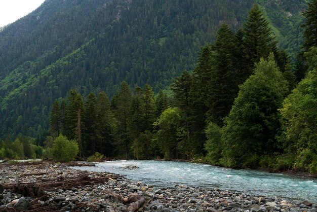 Leito do rio Psysh nas Montanhas do Cáucaso em um dia de verão ensolarado Arkhyz KarachayCherkessia Rússia
