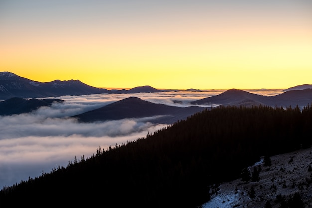 Lejanas colinas de montaña oscuras cubiertas de un denso bosque de pinos rodeado de blancas nubes de niebla al amanecer.