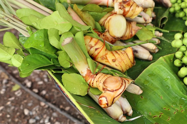 Lemongrass y Galangal en el mercado