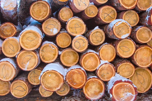 Leña apilada en madera cortada, madera, leña.