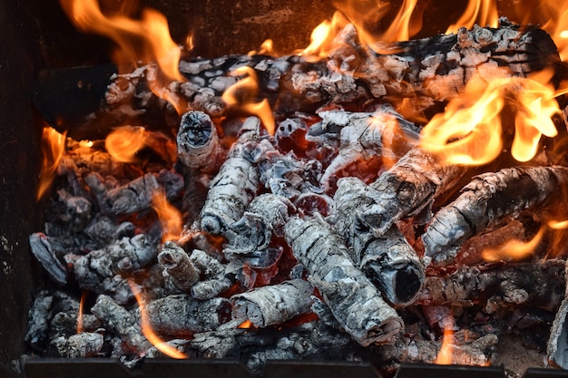 Leña caliente fuego tablas naturaleza salvaje bosque