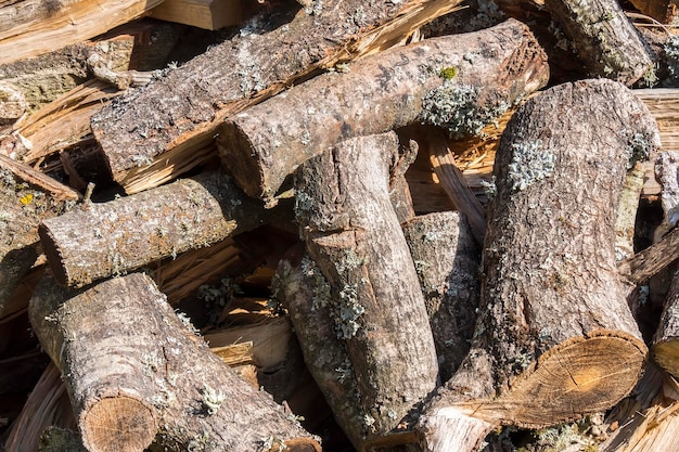 Leña para la chimenea en invierno