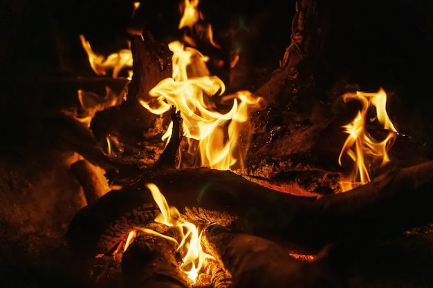 Leña en un fuego con fuego abierto y brasas