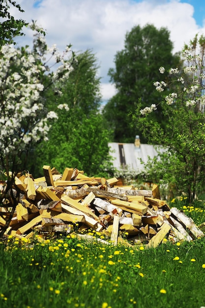 Leña en un palet La leña picada yace en el suelo Fondo de madera